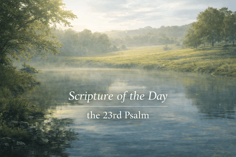 Scripture of the Day